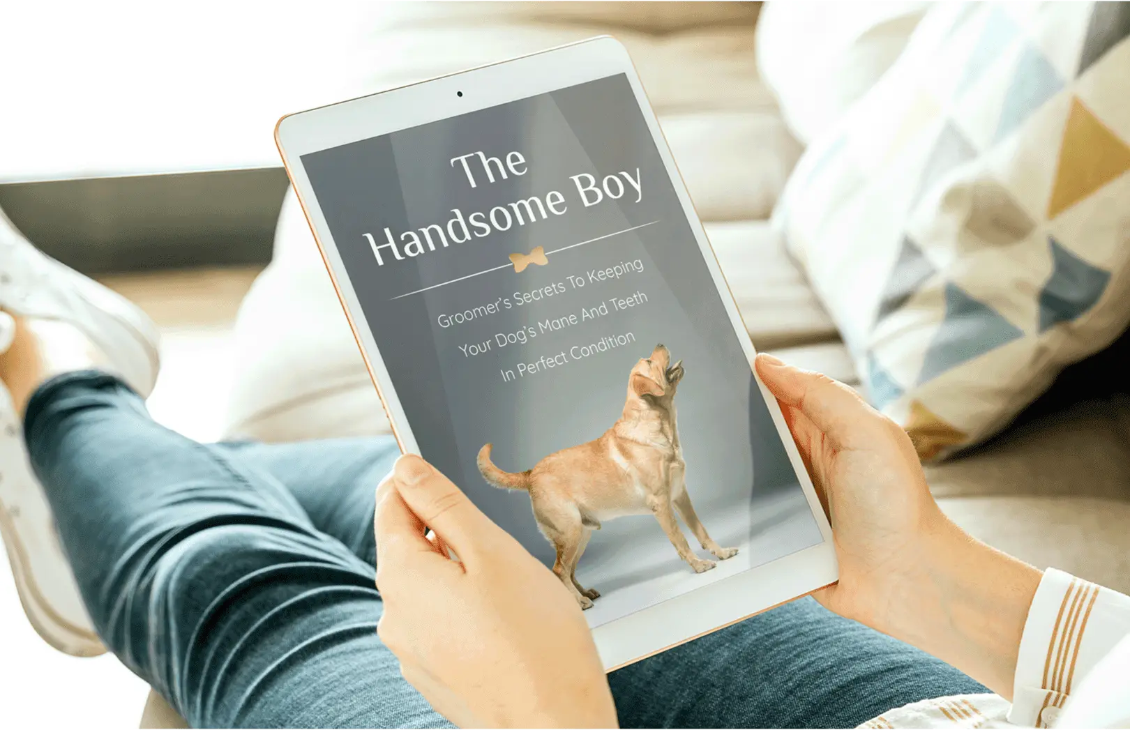 Dog Groomer Secrets Bonus